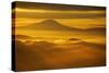 Rainier Sunset II-Brian Kidd-Stretched Canvas
