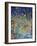 Raining Frogs and Fishes-Bill Bell-Framed Giclee Print