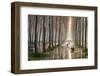 Rains of Spring-Raffaele Spettoli-Framed Photographic Print