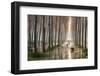 Rains of Spring-Raffaele Spettoli-Framed Photographic Print