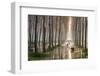 Rains of Spring-Raffaele Spettoli-Framed Photographic Print