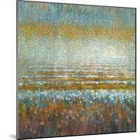 Rains over the Lake-Danhui Nai-Mounted Art Print