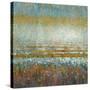 Rains over the Lake-Danhui Nai-Stretched Canvas