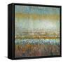 Rains over the Lake-Danhui Nai-Framed Stretched Canvas