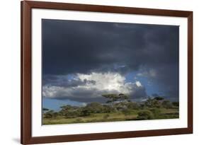 Rainstorm approaching Ndutu, Ngorongoro Conservation Area, Serengeti, Tanzania.-Sergio Pitamitz-Framed Photographic Print