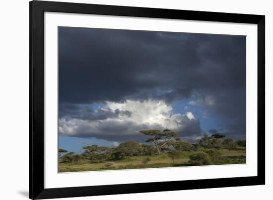 Rainstorm approaching Ndutu, Ngorongoro Conservation Area, Serengeti, Tanzania.-Sergio Pitamitz-Framed Photographic Print
