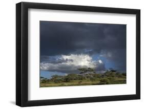 Rainstorm approaching Ndutu, Ngorongoro Conservation Area, Serengeti, Tanzania.-Sergio Pitamitz-Framed Photographic Print