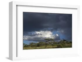 Rainstorm approaching Ndutu, Ngorongoro Conservation Area, Serengeti, Tanzania.-Sergio Pitamitz-Framed Photographic Print