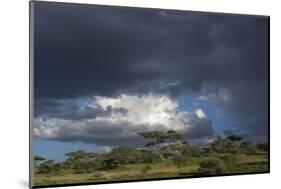 Rainstorm approaching Ndutu, Ngorongoro Conservation Area, Serengeti, Tanzania.-Sergio Pitamitz-Mounted Photographic Print