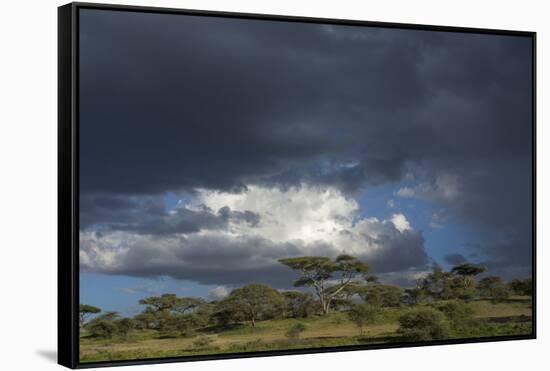 Rainstorm approaching Ndutu, Ngorongoro Conservation Area, Serengeti, Tanzania.-Sergio Pitamitz-Framed Stretched Canvas