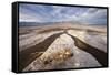 Rainwater creates a creek on Salt Flats. Death Valley, California.-Tom Norring-Framed Stretched Canvas