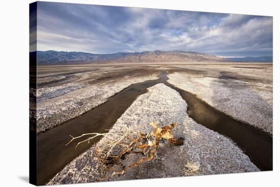 Rainwater creates a creek on Salt Flats. Death Valley, California.-Tom Norring-Stretched Canvas