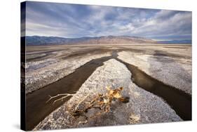 Rainwater creates a creek on Salt Flats. Death Valley, California.-Tom Norring-Stretched Canvas