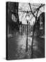 Rainy Beacon Hill St at Dusk During Series of Boston Stranglings-Art Rickerby-Stretched Canvas