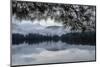 Rainy Day Cooper Lake-Kelly Sinclair-Mounted Photographic Print