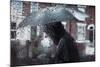 Rainy Day-Victor De Schwanberg-Mounted Photographic Print