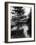 Rainy Day-null-Framed Photographic Print