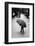 Rainy Day-Liesbeth Van Der-Framed Photographic Print