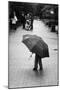 Rainy Day-Liesbeth Van Der-Mounted Photographic Print
