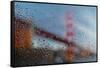 Rainy Golden Gate-Steve Gadomski-Framed Stretched Canvas