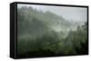 Rainy Hills, California Coast-Vincent James-Framed Stretched Canvas