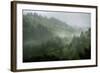 Rainy Hills, California Coast-Vincent James-Framed Photographic Print