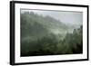 Rainy Hills, California Coast-Vincent James-Framed Photographic Print