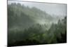 Rainy Hills, California Coast-Vincent James-Mounted Photographic Print