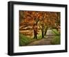 Rainy Morning on Hyatt Lane-Danny Head-Framed Art Print