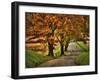 Rainy Morning on Hyatt Lane-Danny Head-Framed Art Print