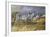 Rainy Season-Trevor V. Swanson-Framed Giclee Print