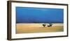 Rainy Skies-Dolors Curell-Framed Giclee Print