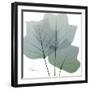 Rainy Tulip Tree-Albert Koetsier-Framed Art Print