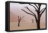 Rainy weather in early morning, Deadvlei, Namib-Naukluft Park, Namibia-Wendy Kaveney-Framed Stretched Canvas