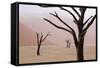 Rainy weather in early morning, Deadvlei, Namib-Naukluft Park, Namibia-Wendy Kaveney-Framed Stretched Canvas