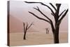 Rainy weather in early morning, Deadvlei, Namib-Naukluft Park, Namibia-Wendy Kaveney-Stretched Canvas