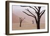 Rainy weather in early morning, Deadvlei, Namib-Naukluft Park, Namibia-Wendy Kaveney-Framed Photographic Print