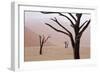 Rainy weather in early morning, Deadvlei, Namib-Naukluft Park, Namibia-Wendy Kaveney-Framed Photographic Print