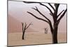 Rainy weather in early morning, Deadvlei, Namib-Naukluft Park, Namibia-Wendy Kaveney-Mounted Photographic Print