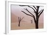 Rainy weather in early morning, Deadvlei, Namib-Naukluft Park, Namibia-Wendy Kaveney-Framed Photographic Print