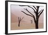 Rainy weather in early morning, Deadvlei, Namib-Naukluft Park, Namibia-Wendy Kaveney-Framed Photographic Print