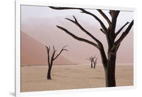 Rainy weather in early morning, Deadvlei, Namib-Naukluft Park, Namibia-Wendy Kaveney-Framed Photographic Print