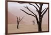 Rainy weather in early morning, Deadvlei, Namib-Naukluft Park, Namibia-Wendy Kaveney-Framed Photographic Print