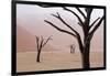 Rainy weather in early morning, Deadvlei, Namib-Naukluft Park, Namibia-Wendy Kaveney-Framed Photographic Print