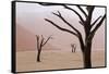 Rainy weather in early morning, Deadvlei, Namib-Naukluft Park, Namibia-Wendy Kaveney-Framed Stretched Canvas