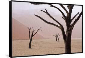 Rainy weather in early morning, Deadvlei, Namib-Naukluft Park, Namibia-Wendy Kaveney-Framed Stretched Canvas