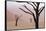 Rainy weather in early morning, Deadvlei, Namib-Naukluft Park, Namibia-Wendy Kaveney-Framed Stretched Canvas