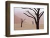 Rainy weather in early morning, Deadvlei, Namib-Naukluft Park, Namibia-Wendy Kaveney-Framed Photographic Print