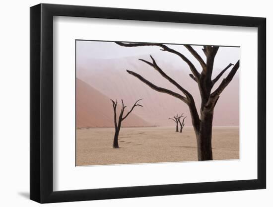 Rainy weather in early morning, Deadvlei, Namib-Naukluft Park, Namibia-Wendy Kaveney-Framed Photographic Print