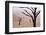 Rainy weather in early morning, Deadvlei, Namib-Naukluft Park, Namibia-Wendy Kaveney-Framed Photographic Print